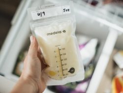 Online Guide to Choosing Feeding Essentials for Infants Online Guide to Choosing Feeding Essentials for Infants