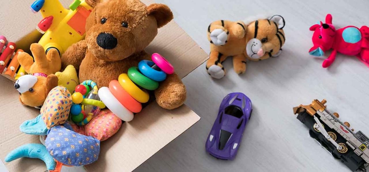 Where to Buy Safe and Durable Toys Online
