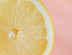 Exploring Fusion Snacks and Where to Buy Them Online Exploring Fusion Snacks and Where to Buy Them Online