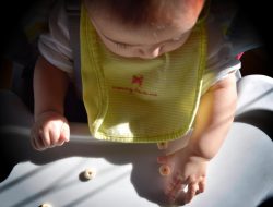 Comparing High Chair Brands for Online Buyers Made Simple Comparing High Chair Brands for Online Buyers Made Simple