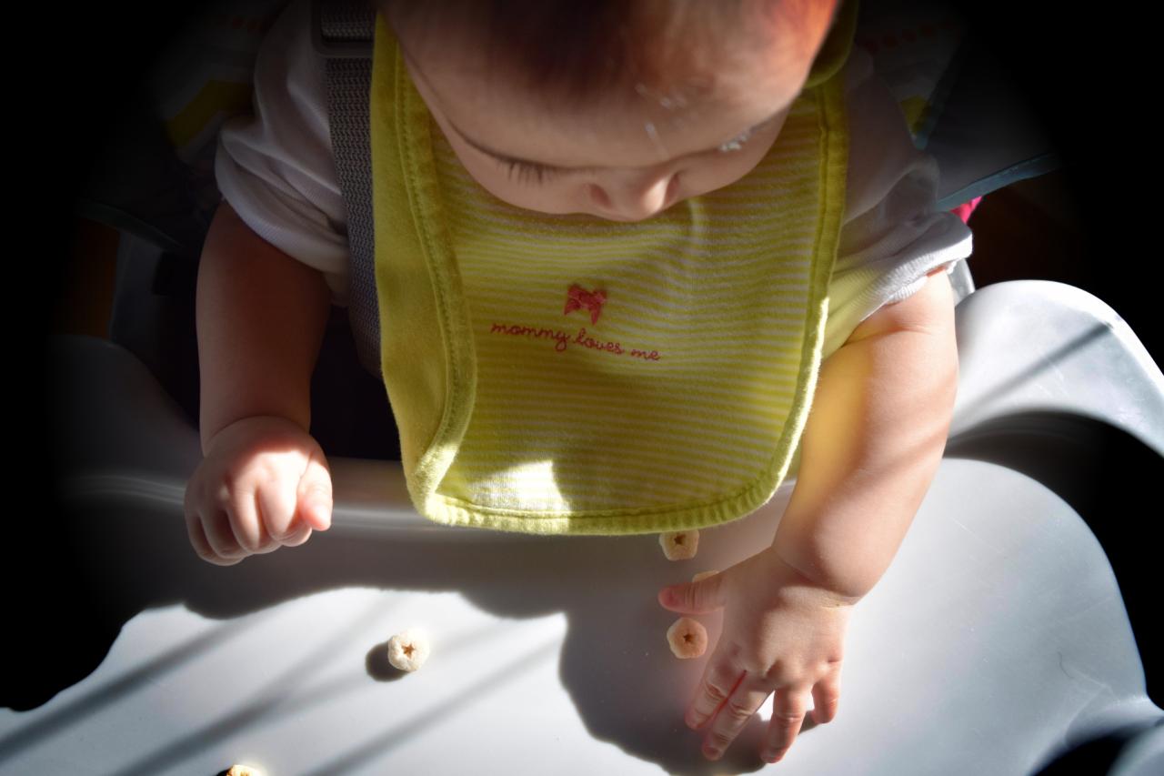 Comparing High Chair Brands for Online Buyers Made Simple