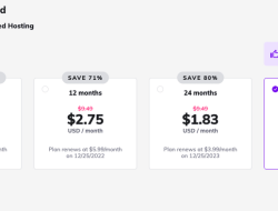 Best Time of Year to Shop Hosting and Domain Deals Online