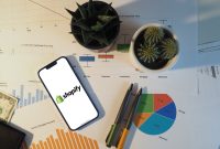 What Makes a Shopping Platform Transaction Friendly