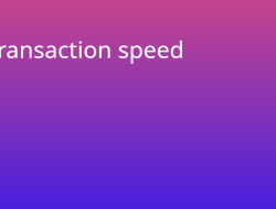 Comparing Transaction Speed in Various Industries Comparing Transaction Speed in Various Industries