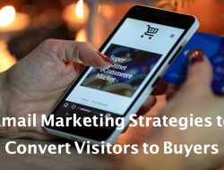 Converting Visitors into Buyers in the Digital Services Industry Converting Visitors into Buyers in the Digital Services Industry