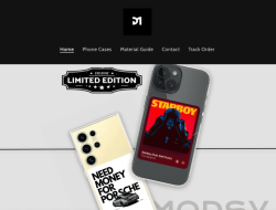 The Evolution of E-Commerce in the Fashion and Accessories Industry The Evolution of E-Commerce in the Fashion and Accessories Industry