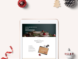 How Seasonal Promotions Affect Electronics Sales Performance