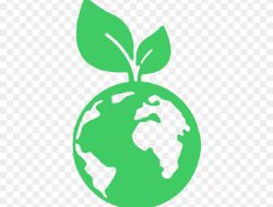 Sustainability as a Key Selling Point in Food and Beverage Marketing