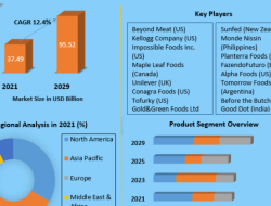 The Rise of Plant Based Products in Food and Drink Marketing The Rise of Plant Based Products in Food and Drink Marketing