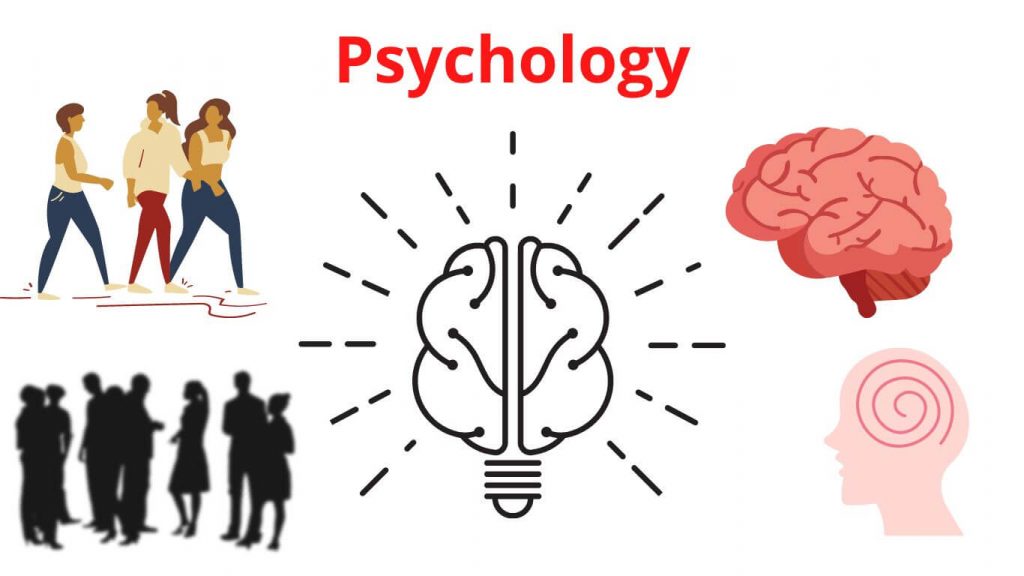 The Psychology Behind Fashion Purchases and Brand Loyalty Uncovered