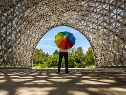 Creative Marketing Approaches for Unconventional Product Categories