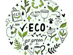 Eco Friendly Baby Products and Their Impact on Buying Behavior
