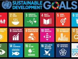 Sustainable Sourcing as a Selling Point for Modern Consumers
