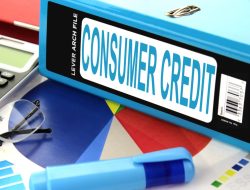 Consumer Trends Shaping the Purchase Behavior in Online Fashion Retail