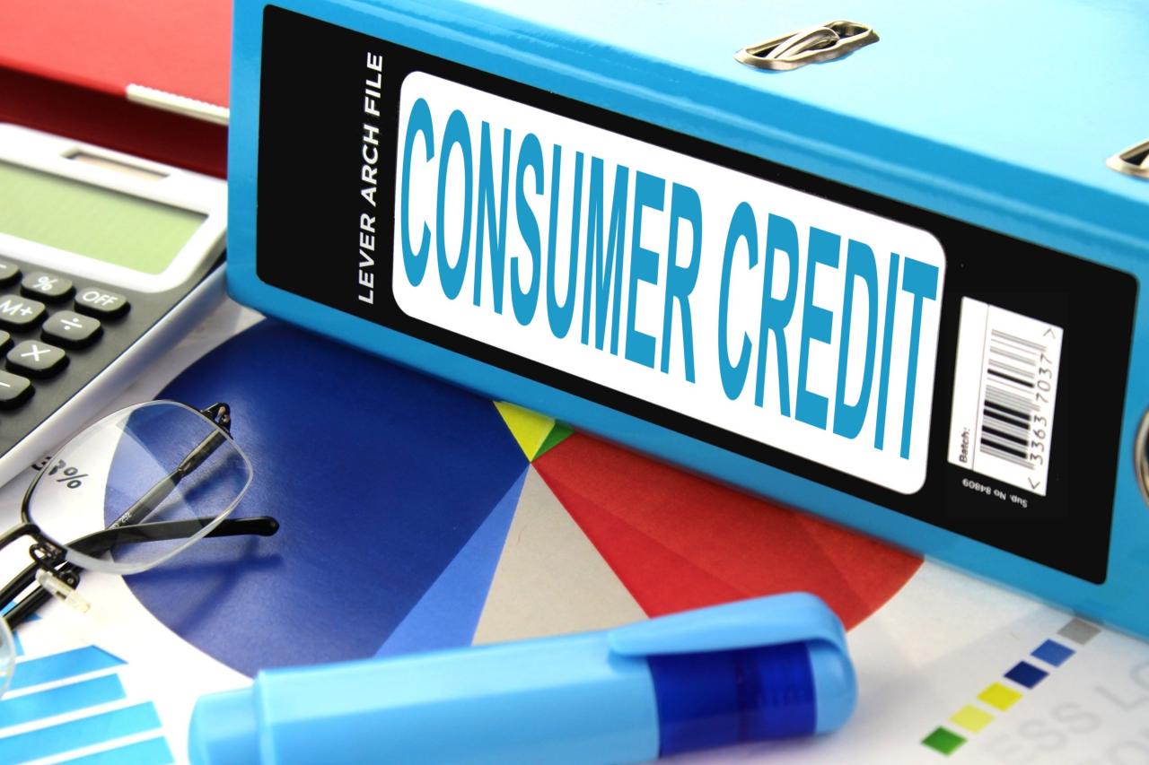Consumer Credit - Free of Charge Creative Commons Lever arch file image Consumer Trends Shaping the Purchase Behavior in Online Fashion Retail