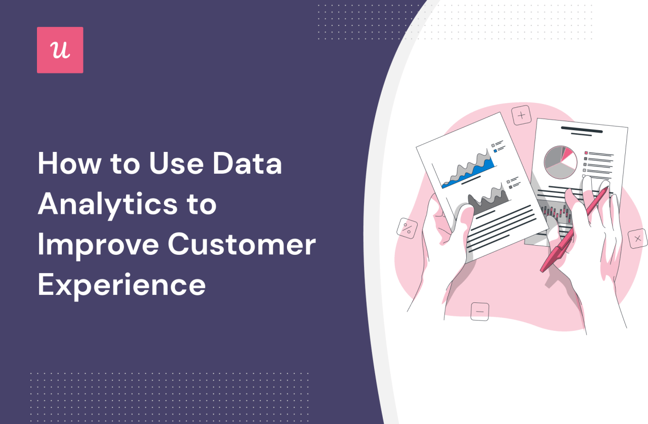 The Power of Customer Analytics: How Data-Driven Insights Transform ...