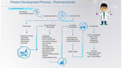 Future Outlook Personal Care Product Development Marketing Innovation and Consumer Demand