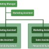 Marketing Insights for Understanding Consumer Fashion and Accessories Buying Patterns Unveiled