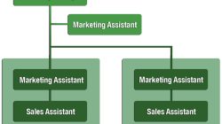 Marketing Insights for Understanding Consumer Fashion and Accessories Buying Patterns Unveiled