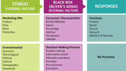 Consumer Purchasing Behavior and Decision-Making in Electronics Products Unveiled