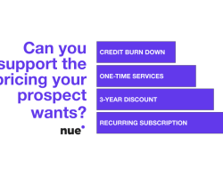 The Impact of Pricing Strategies on Consumer Decisions in Digital Services