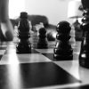 Strategic Sales Approaches for Expanding Global Food and Beverage Markets