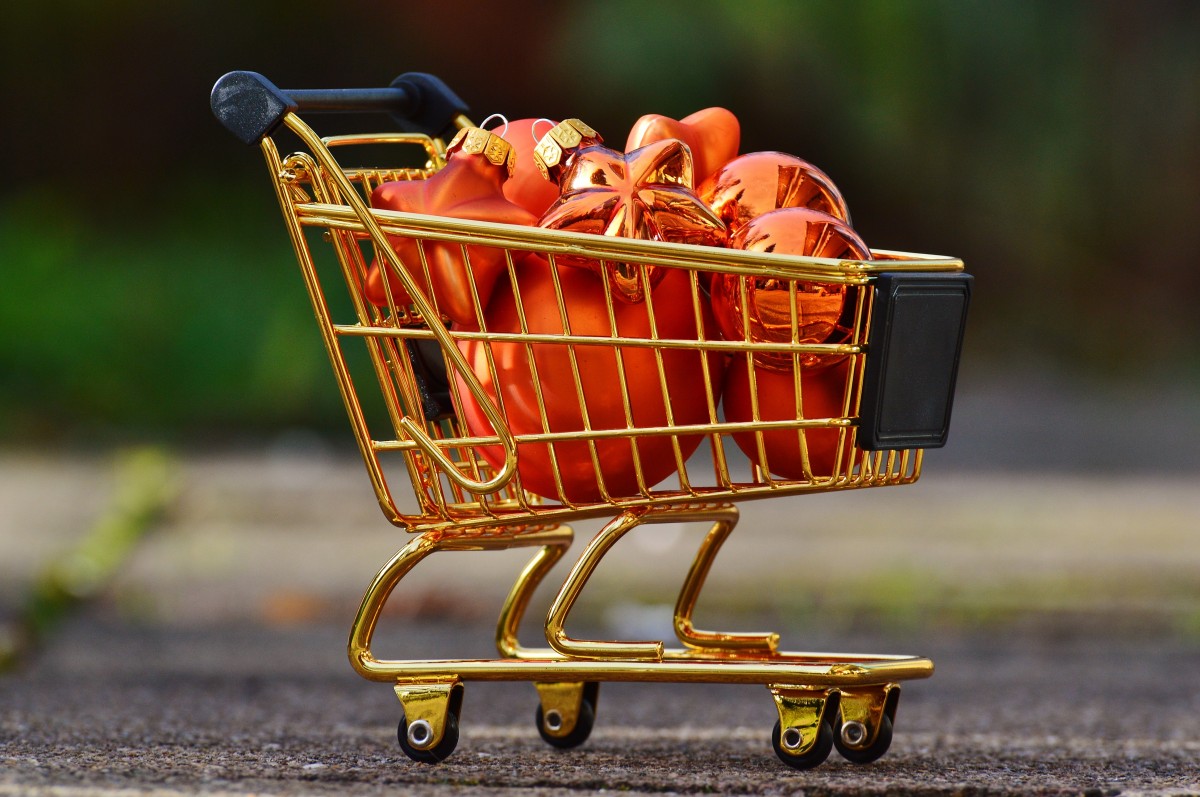 Grid, bars, barrier, security, safety, horizontal, vertical, horizontal ... Purchasing Trends and Consumer Preferences in Skincare, Haircare, and Personal Care Products