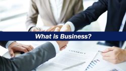 Business and Management Approaches to Strengthen Multi-Sector Sales Performance