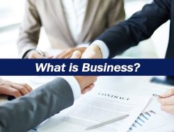 Business and Management Approaches to Strengthen Multi-Sector Sales Performance